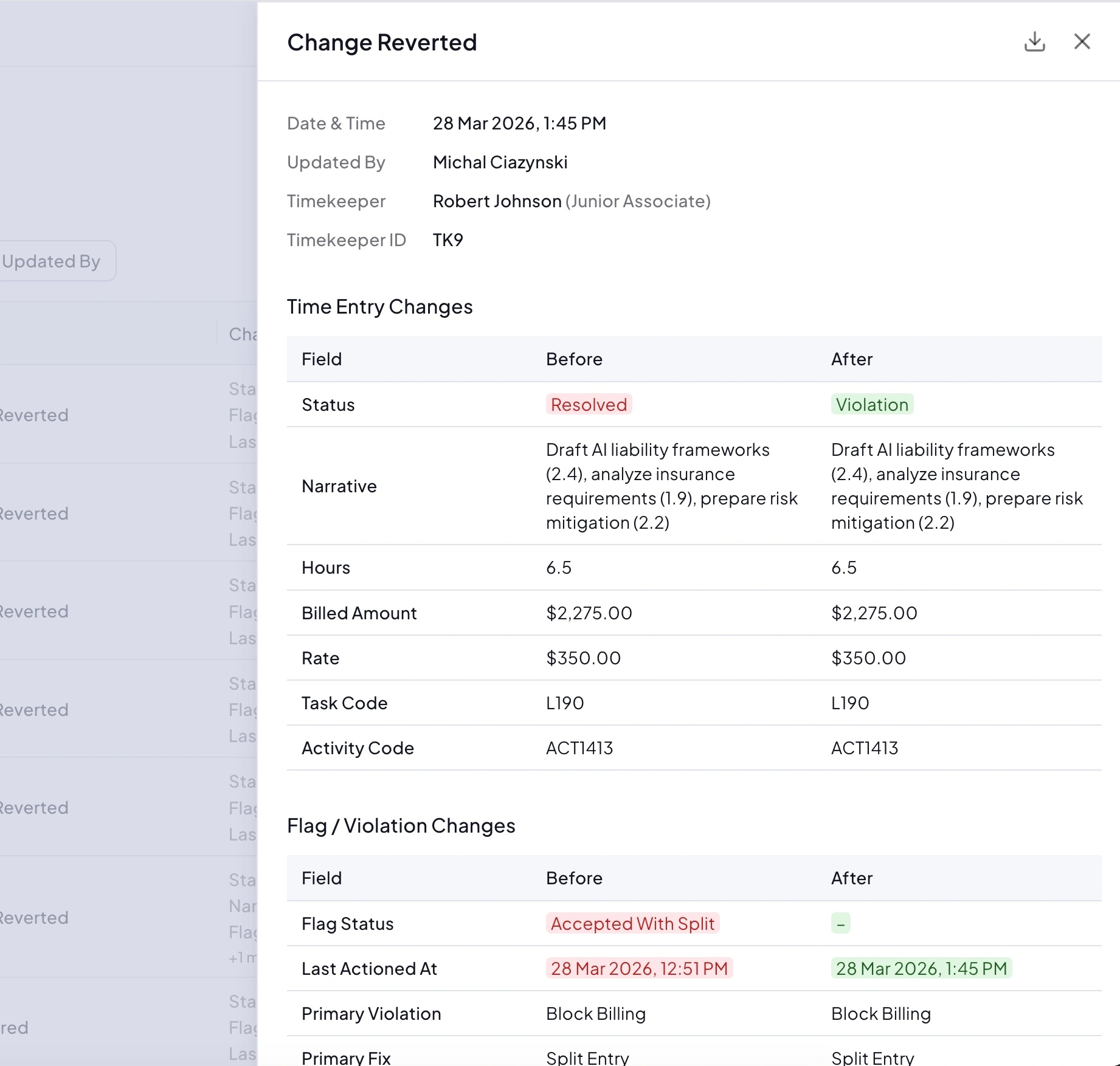 Entry audit detail view